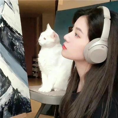 三只流浪狗
